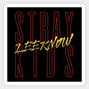 LEEKNOW Stray Kids Magnet